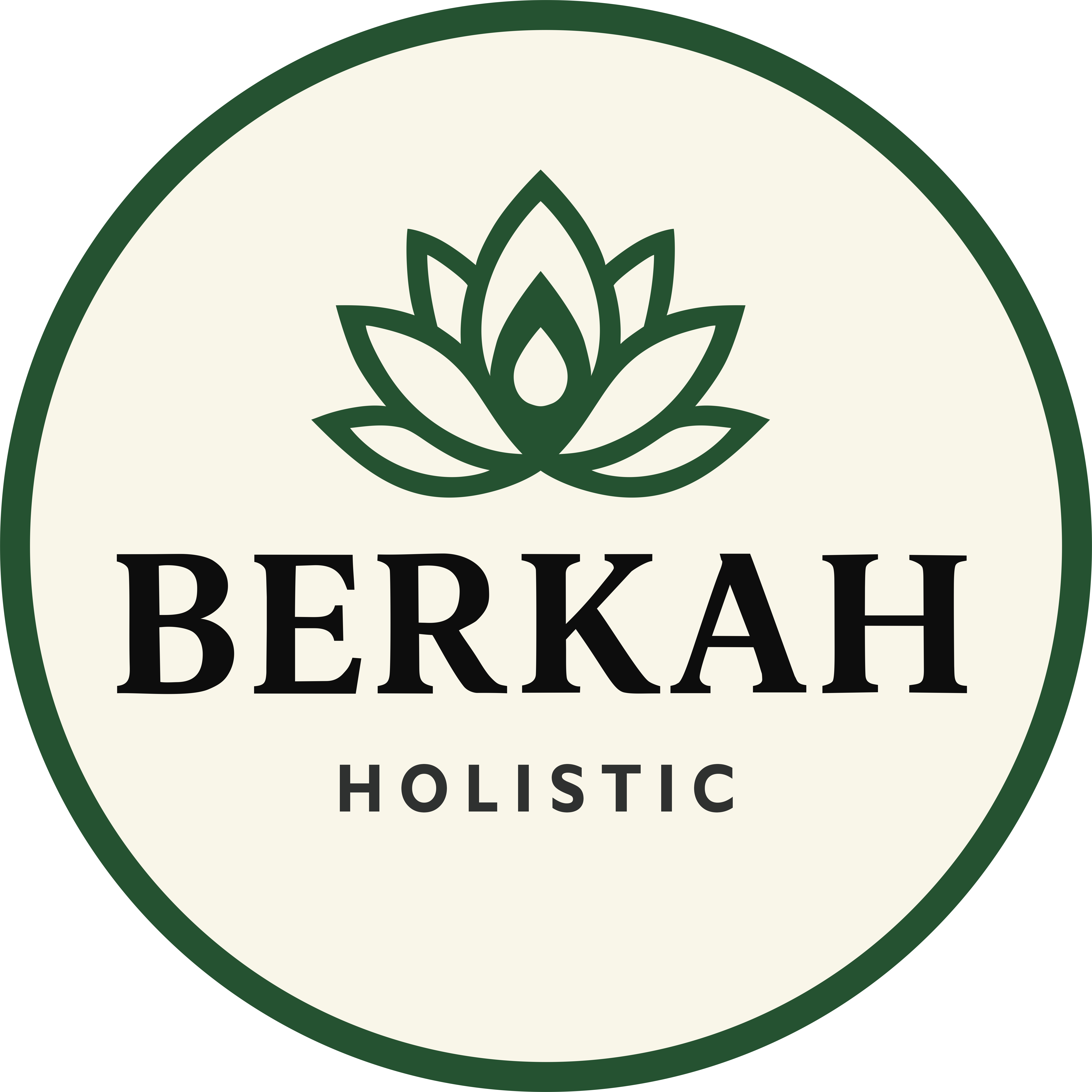 berkahholistic.com